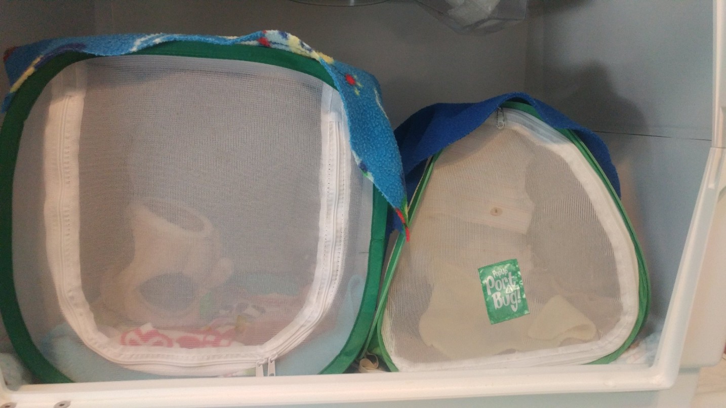 inside incubator02